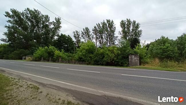 Działka usługowa na sprzedaż 2483m2 - Poddębice