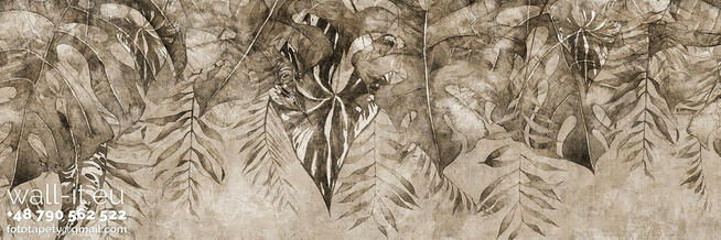 Fototapeta liście tropikalne na betonie, nowoczesny klimat.