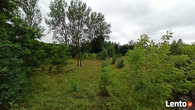 Działka usługowa na sprzedaż 2483m2 - Poddębice