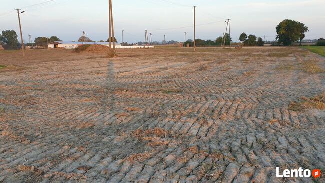 Sprzedam wynajmę pod Farme Fotowoltaiczną