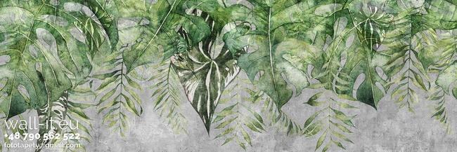 Fototapeta liście tropikalne na betonie, nowoczesny klimat.