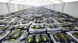 Ekogroszek Popularny Energo groszek węgiel Eko Park dostawa