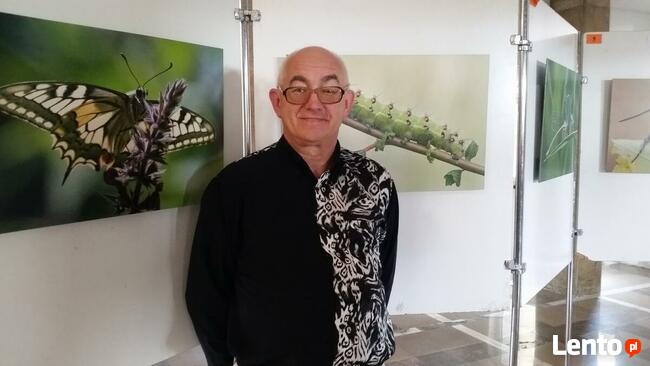 Szukam towarzyszki życia