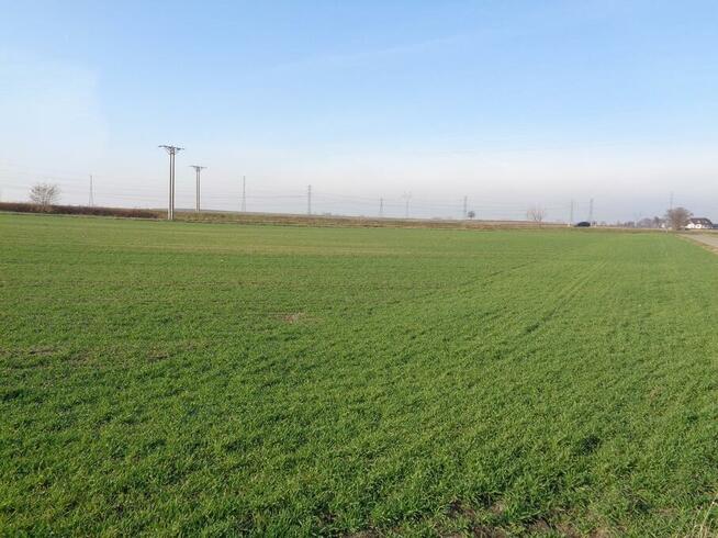 Grunt Rolny Gmina Ślesin