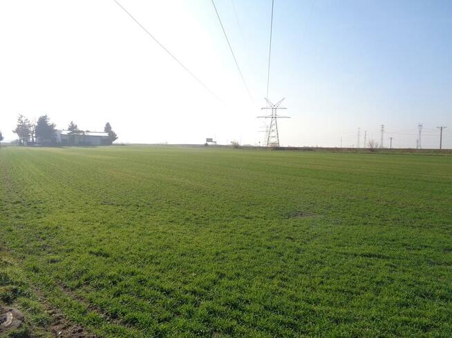 Grunt Rolny Gmina Ślesin