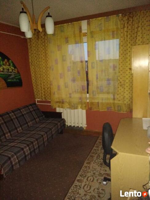 Pokój do wynajęcia