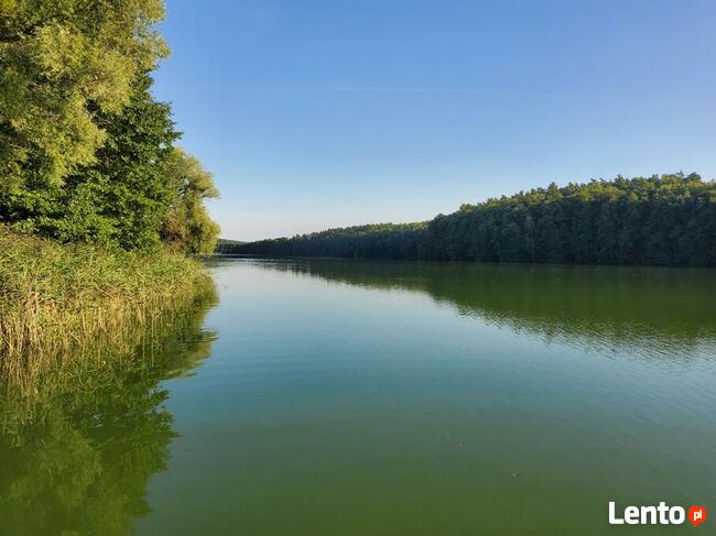 Wynajem domków letniskowych /całorocznych