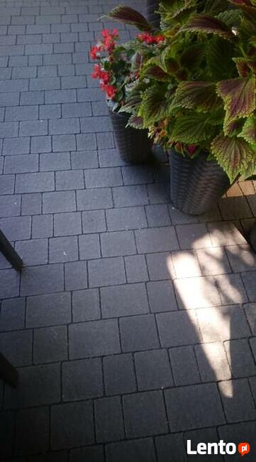 Suchy Piasek Bazaltowy Fuga Zasypka Do Kostki Grafit 0-5 mm