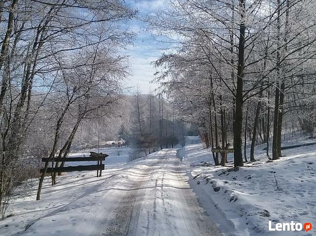Agroturystyka Wieliczka , Chata, Noclegi
