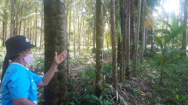 nieruchomości na sprzedaż w Tajlandii