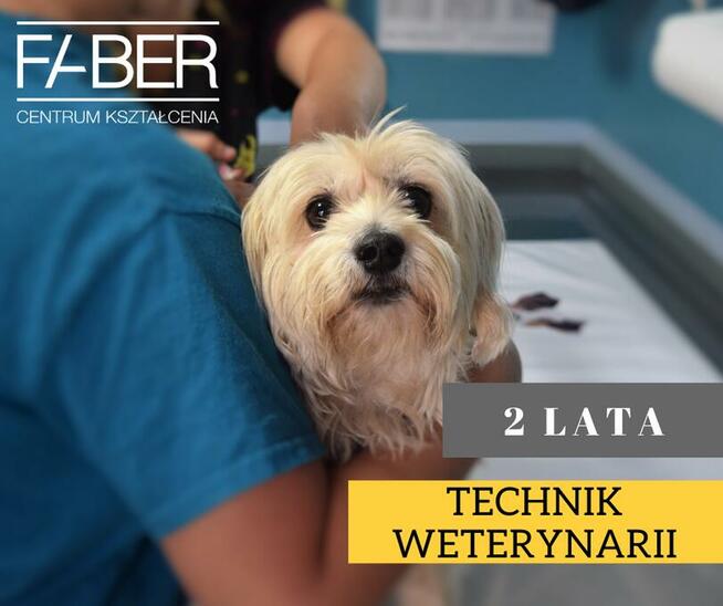 Technik Weterynarii