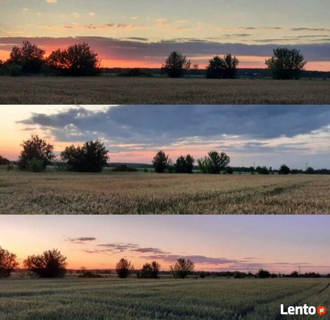 Działka budowlana 2900m2 DOBRZYŃ