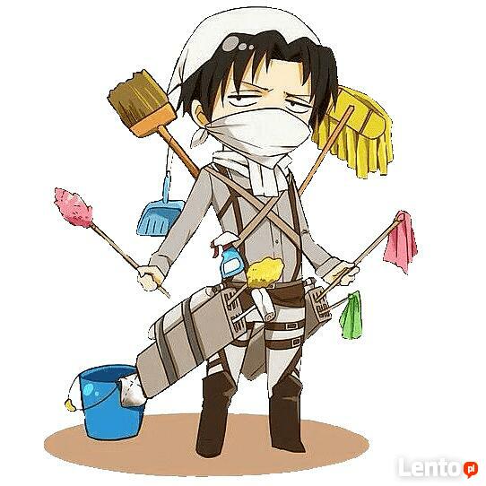 P.U.H Agitek sprzątanie mieszkań, domów, biur, mycie okien