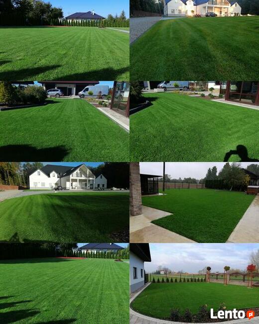 Kompleksowe usługi ogrodnicze, Trawniki ,Ogrody ,Nawadniania