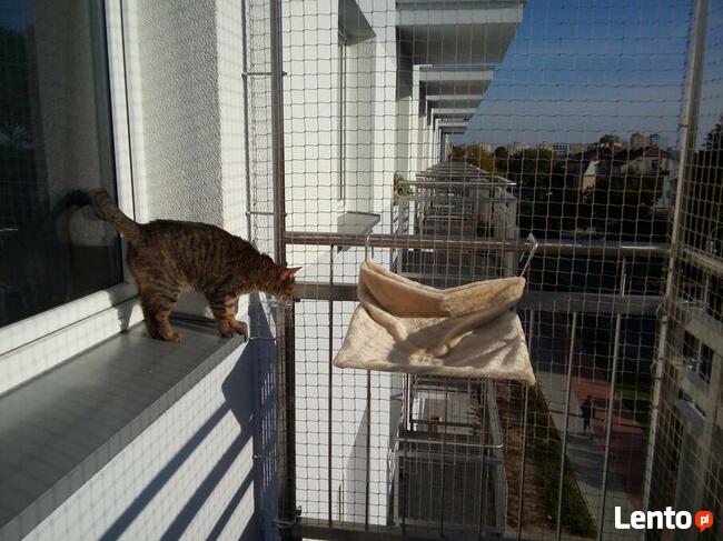 Siatka dla kota/siatka ochronna na balkon - Olsztyn