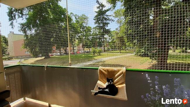 Siatka dla kota/siatka ochronna na balkon - Olsztyn