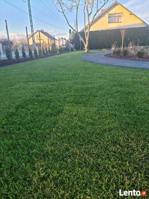 Kompleksowe usługi ogrodnicze, Trawniki ,Ogrody ,Nawadniania