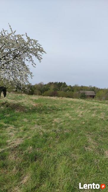 Działka Dolina Baryczy Wieś Cisza Spokój Las
