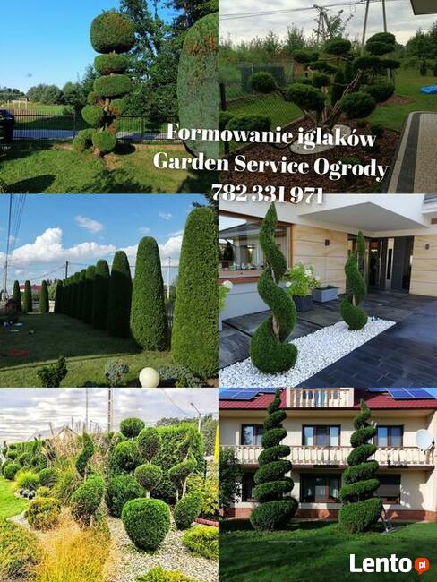 Kompleksowe usługi ogrodnicze, Trawniki ,Ogrody ,Nawadniania