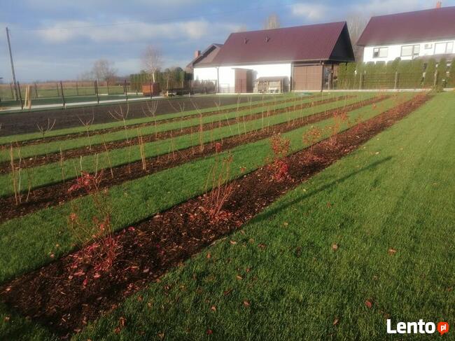Kompleksowe usługi ogrodnicze, Trawniki ,Ogrody ,Nawadniania