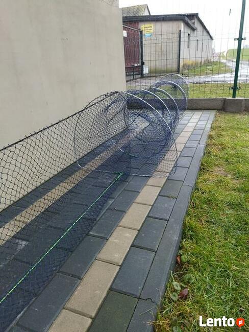 Żak mieroża na ryby węgorz