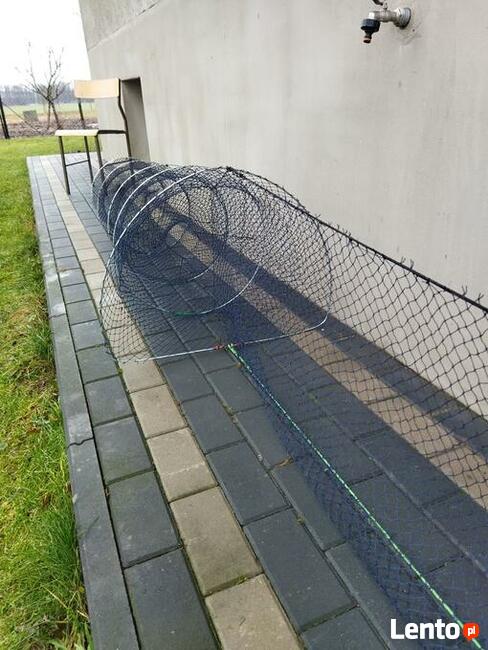 Żak mieroża na ryby węgorz