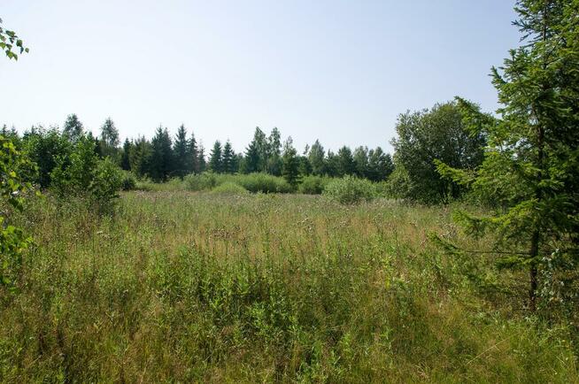 Sprzedam działkę w Przyjaźni koło Gdańska