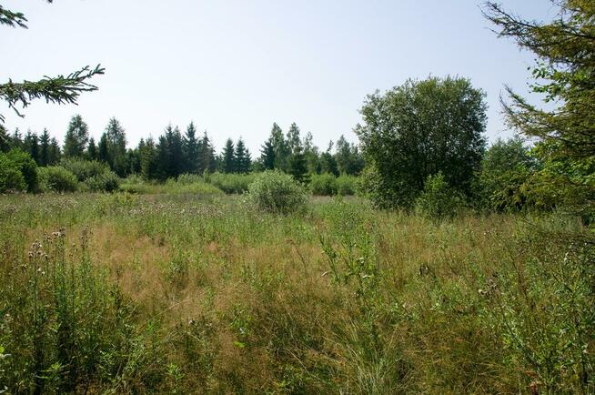 Sprzedam działkę w Przyjaźni koło Gdańska