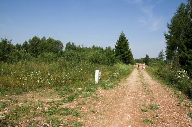 Sprzedam działkę w Przyjaźni koło Gdańska