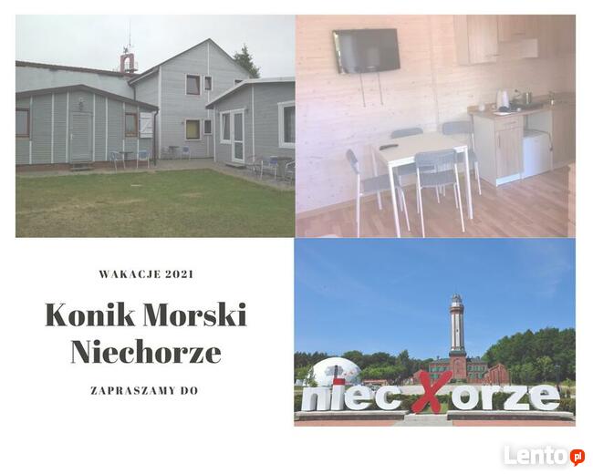 Domki Letniskowe Niechorze. Domki Drewniane.