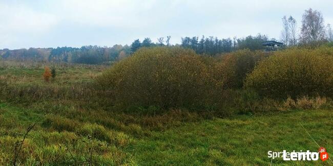Działka nad jeziorem Grom