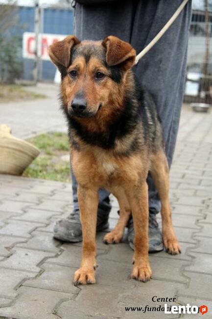 Center - miły średniaczek