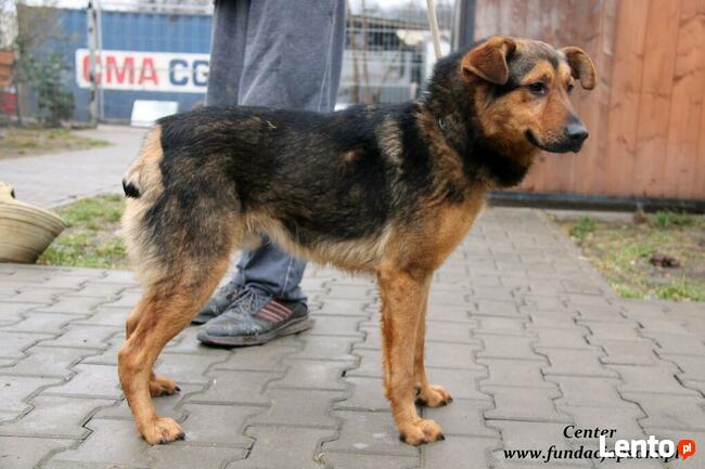 Center - miły średniaczek