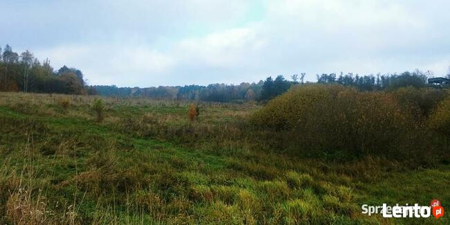 Działka nad jeziorem Grom