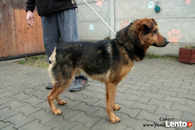 Center - miły średniaczek