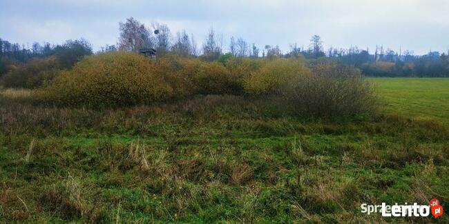 Działka nad jeziorem Grom