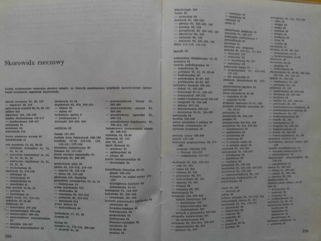 Metodyka nauki o języku polskim - Michał Jaworski