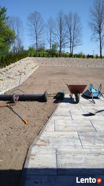 Trawniki z rolki Kielce od 12 do 60 zł m Nawadnianie ogrodów