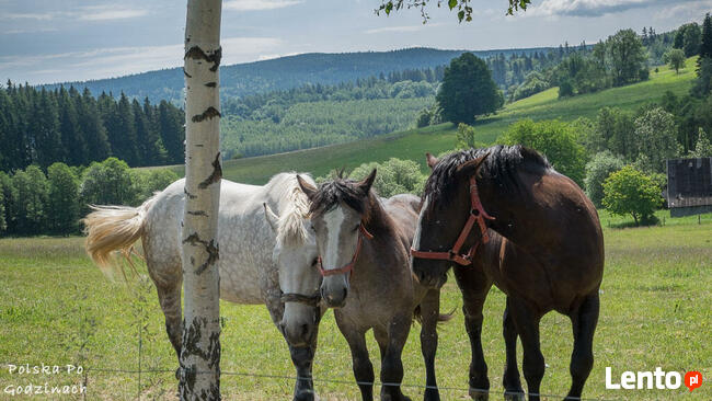 Wczasy-noclegi-SUDETY-gory- VILLASOL obok Polanicy-Zdroju