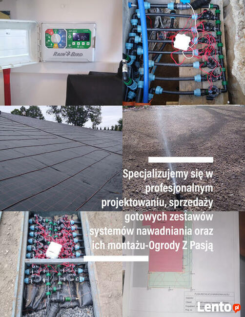 Trawniki z rolki Kielce od 12 do 60 zł m Nawadnianie ogrodów