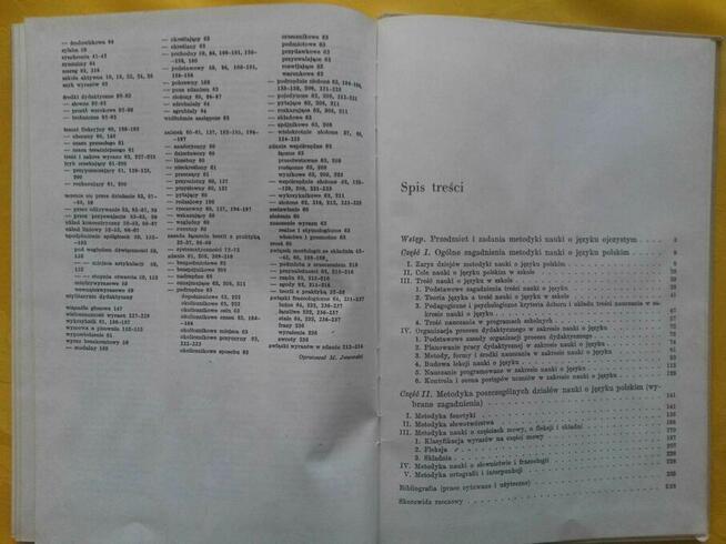 Metodyka nauki o języku polskim - Michał Jaworski