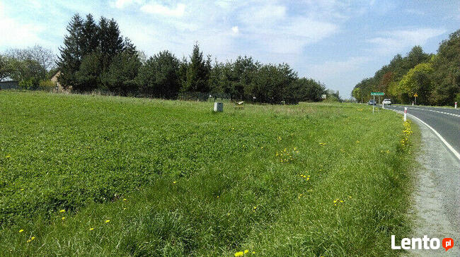 sprzedam działki rolne łuszczów II 8 km od Lublina