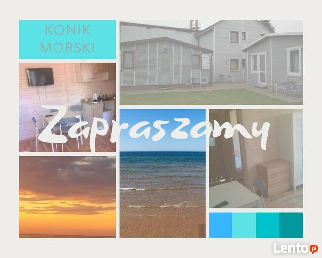 Domki Niechorze blisko plaży. Zapraszam.