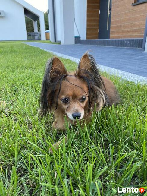 Nowoczesne Domki Całoroczne Bania/Kominek/Las/Okuninka