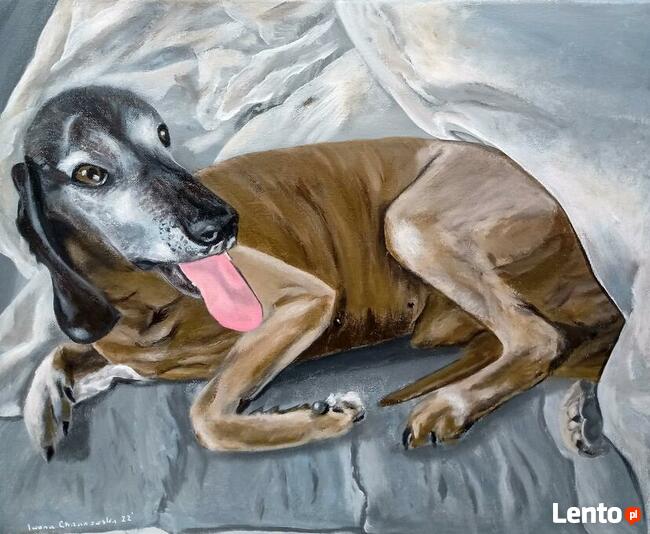 Obrazy ręcznie malowane akrylem, portrety zwierząt domowych
