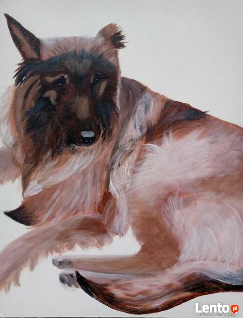 Obrazy ręcznie malowane akrylem, portrety zwierząt domowych