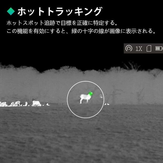 Celownik termowizyjny Lynx Pro LE15 Hikmicro polowanie