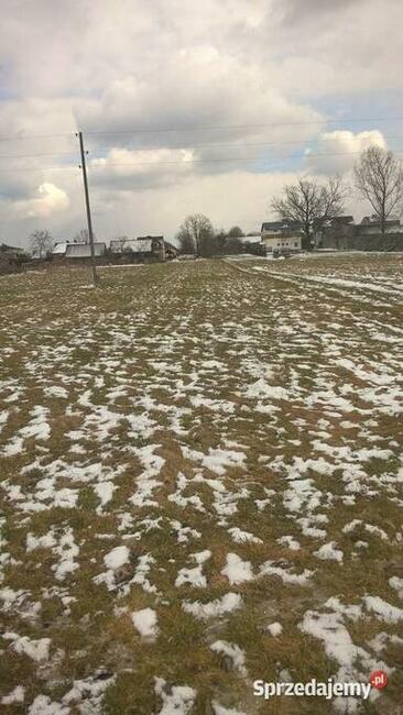 Działka budowlana 1,2 ha-Osiek.