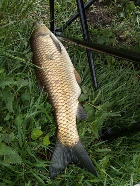 Działka nad jeziorem powidzkim