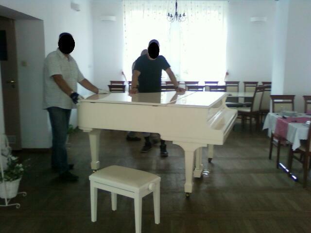 Transport Pianin Gorzow 667-903-199